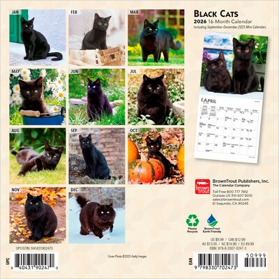 2026 BrownTrout Black Cats 7 x 7 Monthly Wall Calendar (9798330702473)