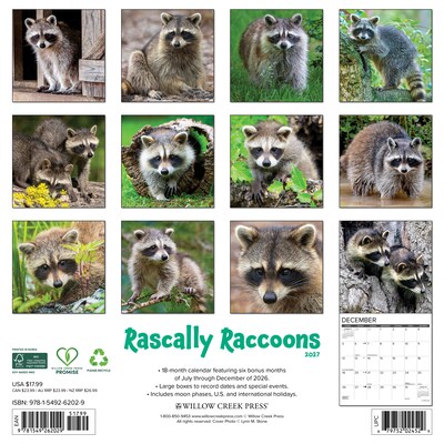 2027 Willow Creek Rascally Raccoons 12 x 12 Monthly Wall Calendar, Assorted Colors (62029)