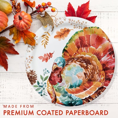 Say Hooray! Tasteful Turkey Tableware Kit, Multicolored, 56/Pack (DTC9386E2A)