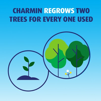 Charmin Ultra Strong Toilet Paper 12 Mega Rolls, 242 Sheets/Roll (04170/75321)