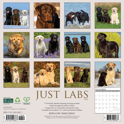 2025 Willow Creek Just Labs 12 x 12 Monthly Wall Calendar (43677)