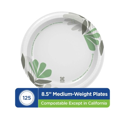 Dixie Pathways 8.5 Paper Plates, Multicolored, 125 Plates/Pack (DXEUX9WS)