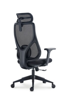 Raynor Group Torque Ergonomic Fabric/Mesh Swivel Manager Chair, Black (TORQUE-BF-BLK)