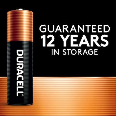 Duracell Coppertop AA Alkaline Battery, 24/Pack (MN1500B240001)