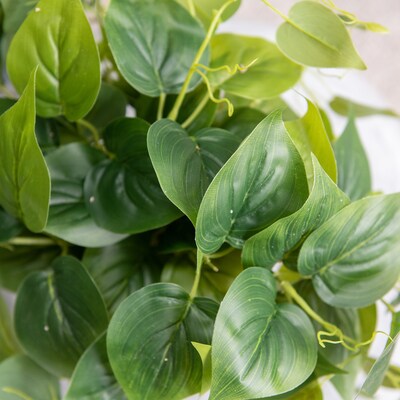 Forever Leaf Artificial Ivy Foliage Plant in White Ceramic Pot (FEV-IVYW)