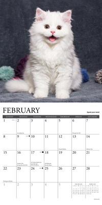 2026 Willow Creek What Kittens Teach Us 12" x 12" Monthly Wall Calendar (53201)