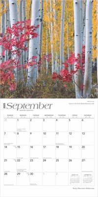 2025 BrownTrout Rocky Mountain Wilderness 12" x 12" Monthly  Wall Calendar (9781975475628)