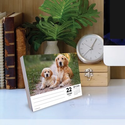 2026 Willow Creek Dogs 6.2" x 5.4" Day-to-Day Calendar (54147)