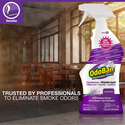 OdoBan Professional Air Freshener & Deodorizer Spray, Lavender Scent, 32 oz., 12/Carton (910162Q12-STP)