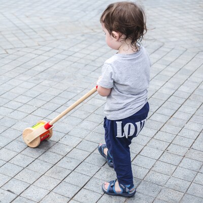 Plan Toys Walk N Roll Wooden Push & Pull Toy, Multicolored (PTS5137)