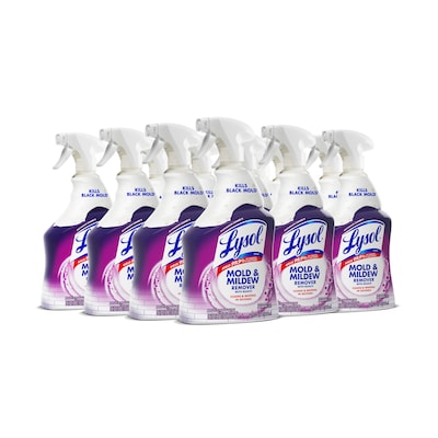 Lysol Mold & Mildew Remover Spray Bottle, 32 oz. (1920078915)