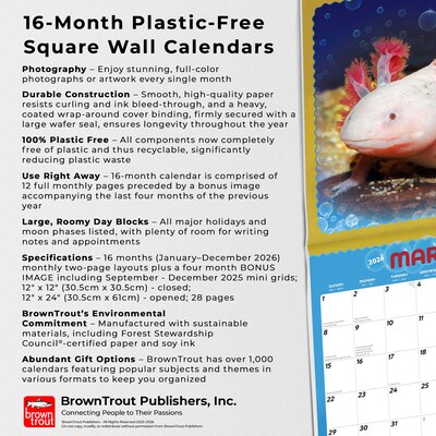 2026 BrownTrout Adorable Axolotl 12" x 12" Monthly Wall Calendar (9798330708079)