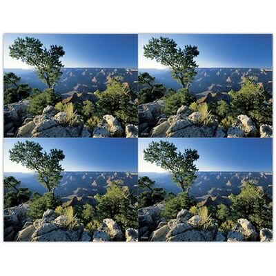Medical Arts Press® Postcards; for Laser Printer; Mountain Top, 100/Pk