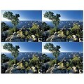 Medical Arts Press® Postcards; for Laser Printer; Mountain Top, 100/Pk