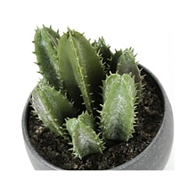 Monarch Specialties Inc. Succulents in Pots, 3/Pack (I 9587)