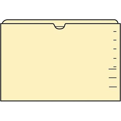 Medical Arts Press®  Reinforced File Pocket, Letter Size, Manila, 50/Box (23938R)