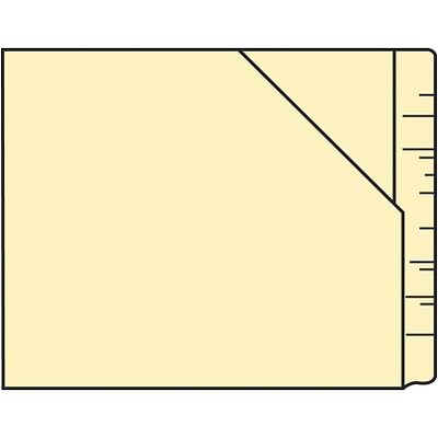Medical Arts Press®  Reinforced File Pocket, Letter Size, Manila, 100/Box (23939R)