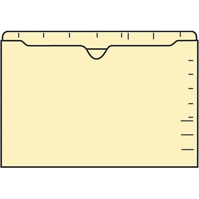 Medical Arts Press®  File Pocket, Letter Size, Manila, 100/Box (23934R)