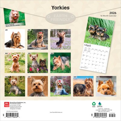 2026 BrownTrout Yorkshire Terriers 12 x 12 Monthly Wall Calendar (9798330706464)