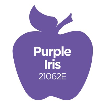 Apple Barrel Acrylic Paint Matte, 8oz., Purple Iris, 6/Pack (APP21062E-6)