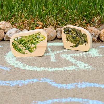 TickiT Wooden Reptile & Amphibian Blocks, Natural, 15/Set (CTU73570)