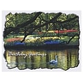 Medical Arts Press® Birthday Greeting Cards;  Swan On Lake Birthday Greeting, Blank Inside