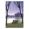Medical Arts Press® Standard 4x6 Postcards; Bench by Lake