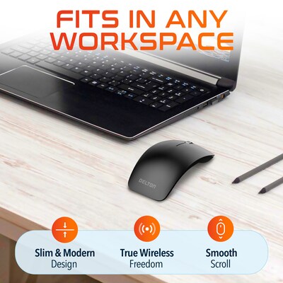Delton S10 Wireless Ergonomic Curved Optical Mouse, Black (DMERGS10-WB)