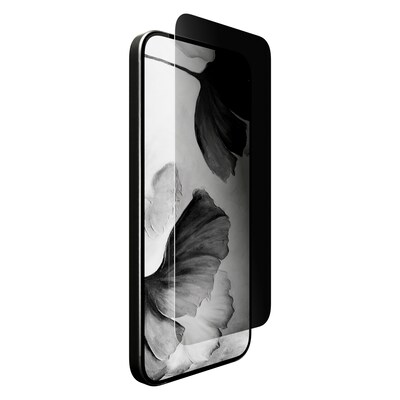 cellhelmet Tempered Glass Privacy Filter & Screen Protector for iPhone 17 (CHELSP106C000)