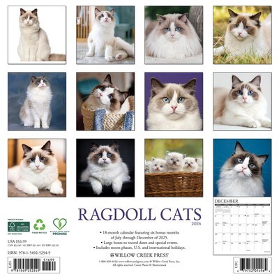 2026 Willow Creek Ragdoll Cats 12 x 12 Monthly Wall Calendar (52549)