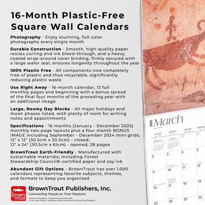 2025 BrownTrout Rock Art of the Southwest 12" x 12" Monthly  Wall Calendar (9781975476052)