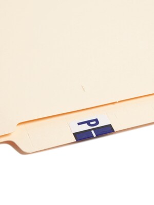 Smead BCCR Labels File Folder Label, P, Violet, 500 Labels/Pack (67086)