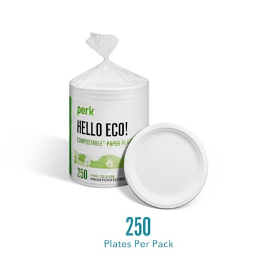Perk™ Compostable Paper Plates, 9", White, 250/Pack (PK61287)