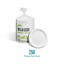 Perk™ Compostable Paper Plates, 9, White, 250/Pack (PK61287)