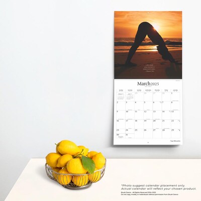 2025 Brush Dance Yoga Silhouettes 12" x 12" Monthly  Wall Calendar (9781975478681)