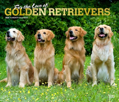2025 BrownTrout For the Love of Golden Retrievers 7 x 12 Monthly  Wall Calendar (9781975473044)