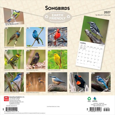2027 BrownTrout Songbirds 12 x 12 Monthly Wall Calendar (9798330712113)