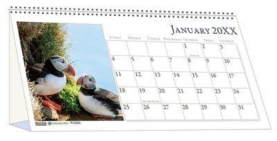 2026 House of Doolittle Earthscapes Wildlife 8.5 x 4.25 Monthly Desktop Tent Calendar (3689-26)