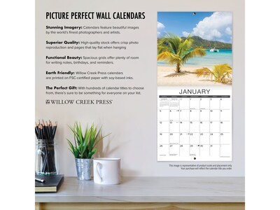2025 Willow Creek Images from the Hubble Space Telescope 12" x 12" Monthly Wall Calendar (43462)