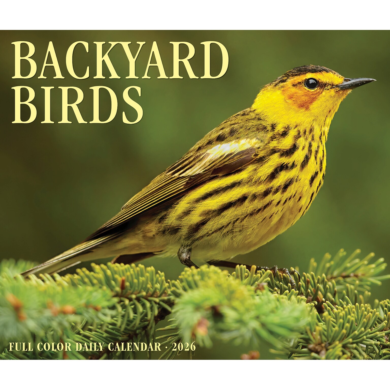 2026 Willow Creek Backyard Birds 6.2 x 5.4 Day-to-Day Calendar (53935)
