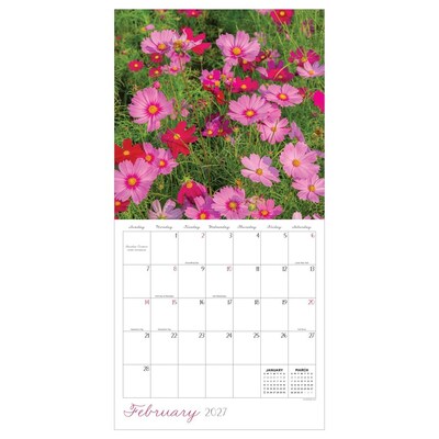 2027 TF Publishing Flowers 10" x 12" Monthly Wall Calendar, Multicolored (27-1034)