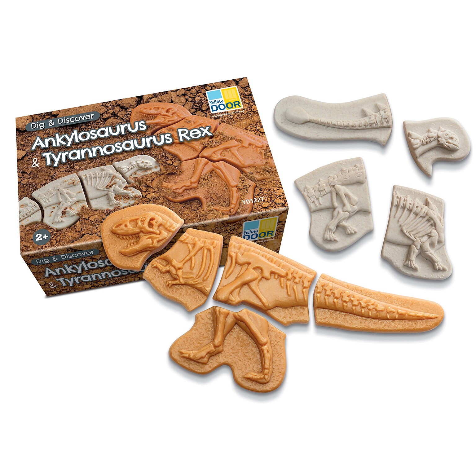 Yellow Door Dig and Discover Ankylosaurus & Tyrannosaurus Rex, Assorted Colors, 9/Set (YUS1227)