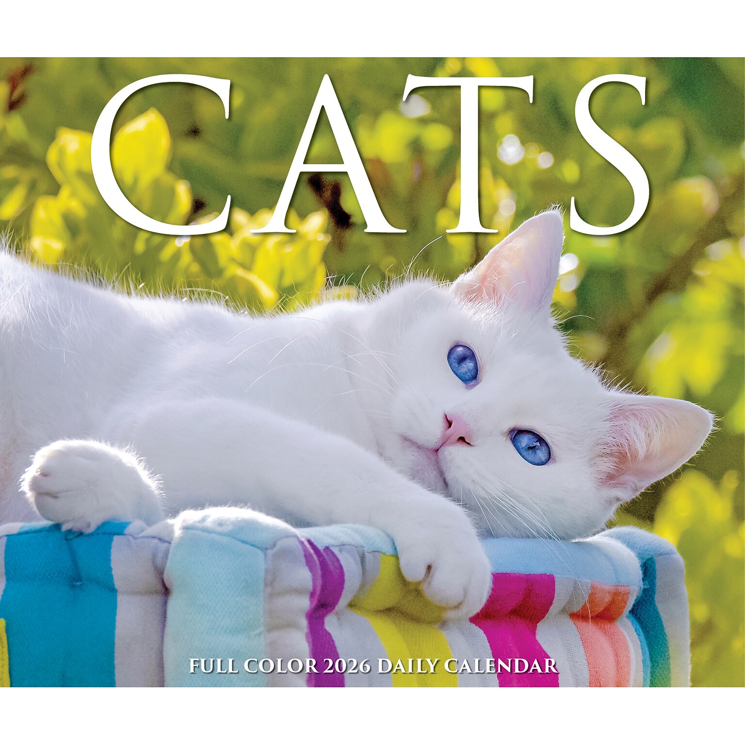 2026 Willow Creek Cats 6.2 x 5.4 Day-to-Day Calendar (54048)