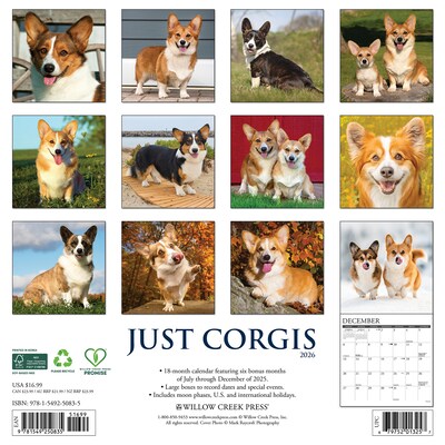2026 Willow Creek Corgis 12 x 12 Monthly Wall Calendar (50835)