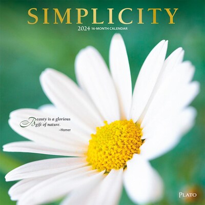 2024 Plato Simplicity 12 x 24 Monthly Wall Calendar (9781975466046)