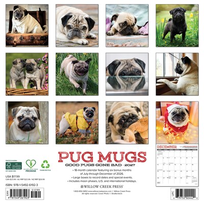 2027 Willow Creek Multi 12 x 12 Monthly Wall Calendar, Assorted Colors (61923)