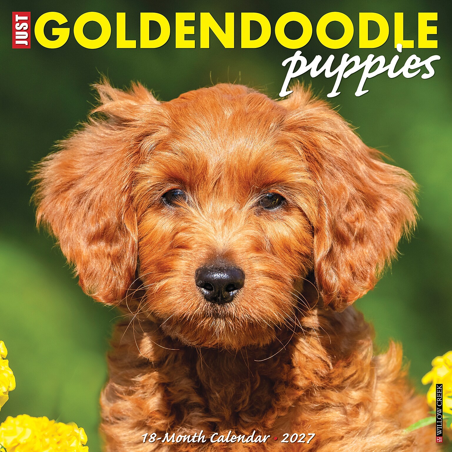 2027 Willow Creek Goldendoodle Puppies  12 x 12 Monthly Wall Calendar (60452)