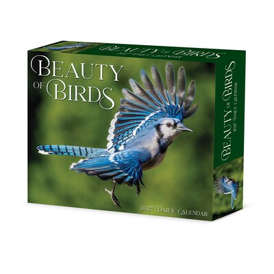 2027 Willow Creek Beauty of Birds 6.2 x 5.4 Daily Day-to-Day Calendar, Assorted Colors (65846)