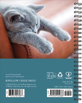 2026 Willow Creek What Cats Teach Us 6.5 x 8.5 Daily & Monthly Personal Organizer (54666)
