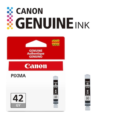 Canon 42 Gray Standard Yield Ink Cartridge (6390B002)